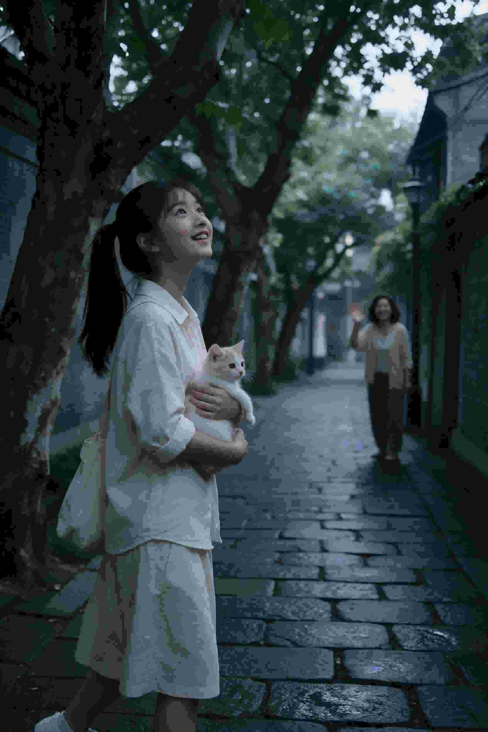 青春恋歌